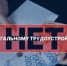 Нелегальная занятость и ее влияние на жизнь конкретного работника и  работодателя - Городской округ Воротынский
